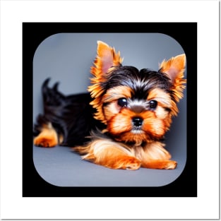 Yorkshire Terrier Puppy Posters and Art